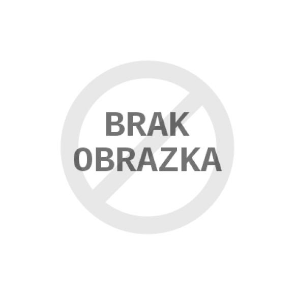 Filtr dyskowy Irritec 1\