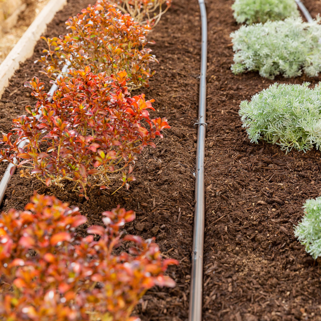 linia kroplująca 1080